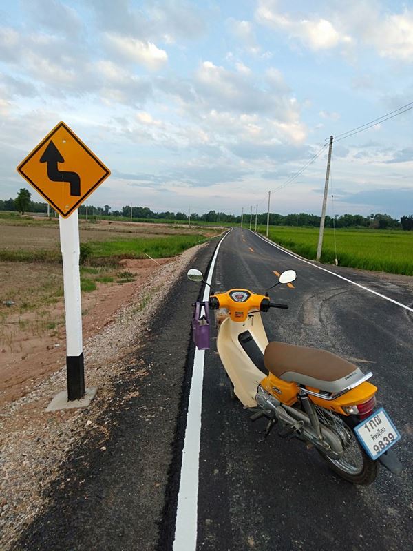 ขายที่ดิน 19 ไร่กว่า ต.แม่ระกา อ.วังทอง จ.พิษณุโลก อยู่ในพื้นที่สีเขียว ทำเลดี โทร 0632897879